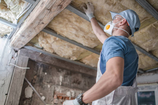 Best Cellulose Insulation in Seagoville, TX
