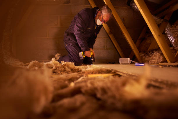 Best Commercial Insulation in Seagoville, TX