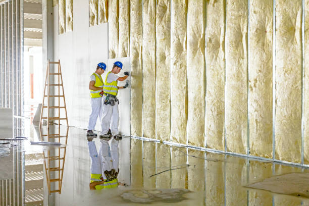 Best DIY Insulation Kits and Guidance in Seagoville, TX